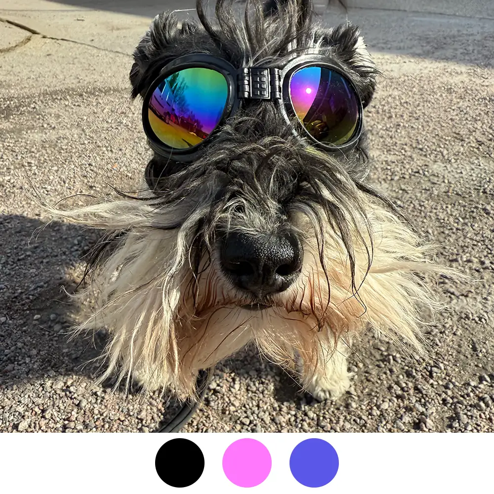 K9 Sport shades Dog goggles