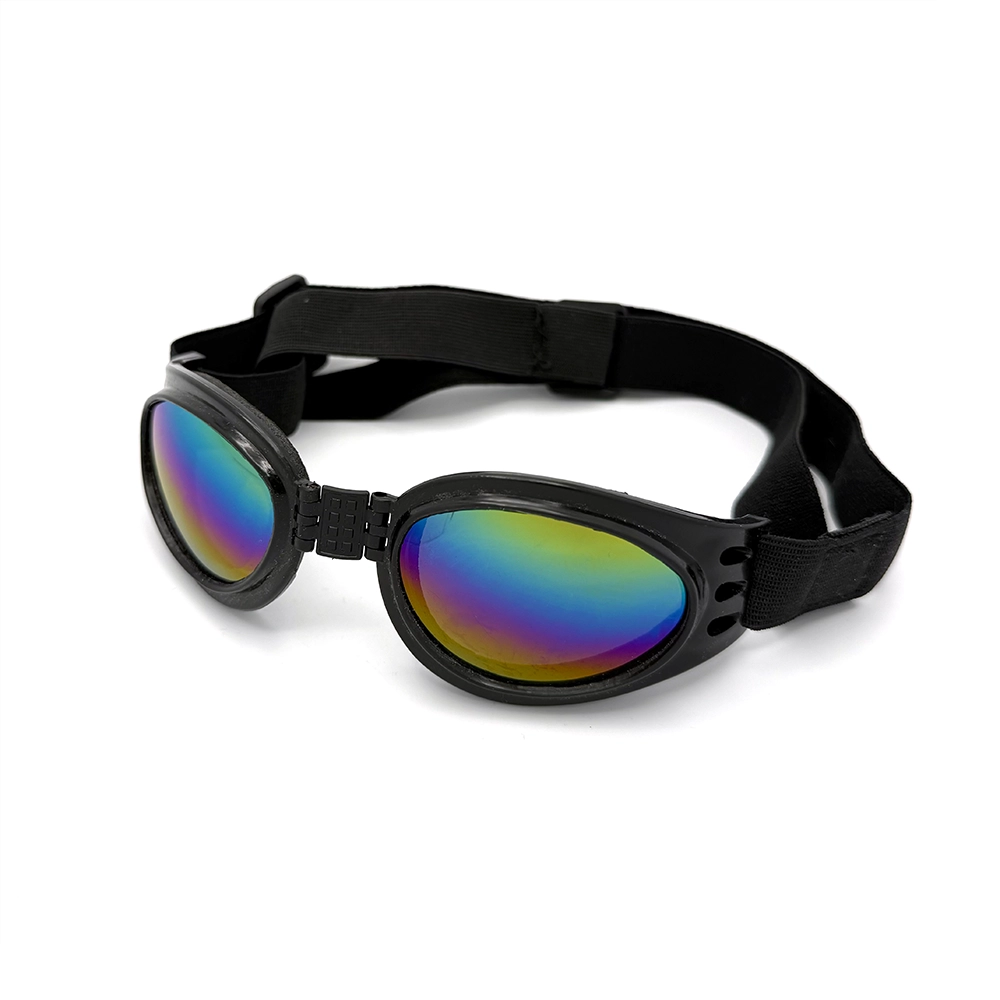 Glasögon till hund Goggles doggles hundsolglasögon  