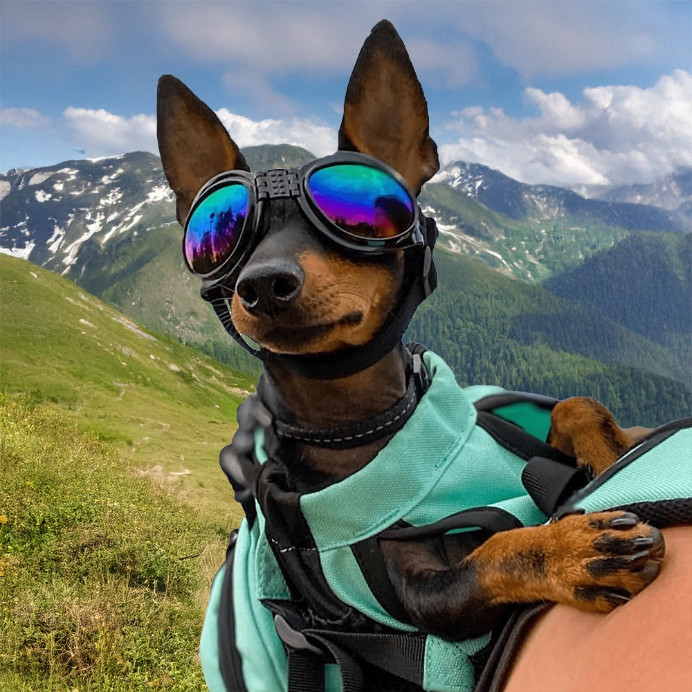 Doggles hundsolglasögon K9 sport sack
