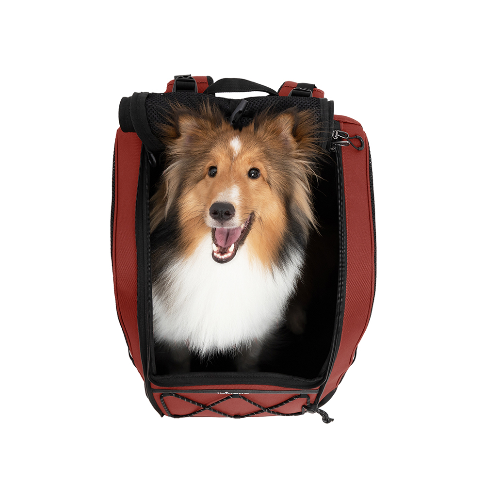 Champion Large Dog Carrier Backpack - Maroon brown - 8