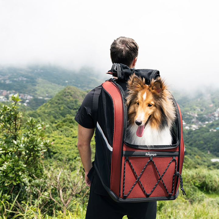 Champion Large Dog Carrier Backpack - Maroon brown - 14