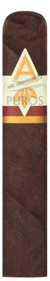 Artista Falu Robusto