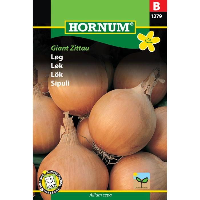 Lök "Giant Zittau¨