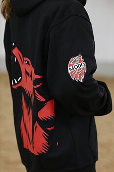 Segerdoft hoodie 2025