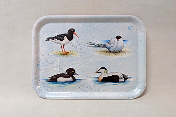 Tray Seabirds 20x27 cm