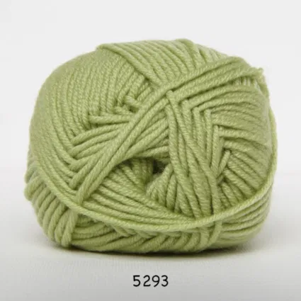 Extra fine merino 120 (22 m st 3,5-4) - 36