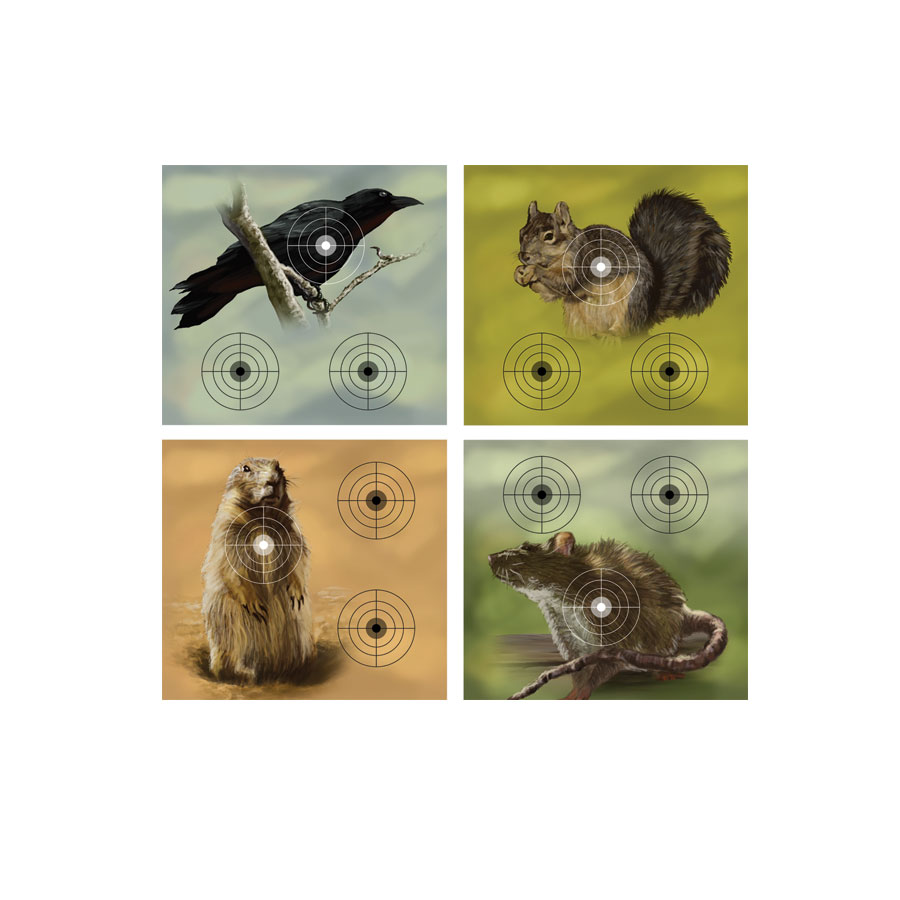 Airgun Skyttepaket - 4