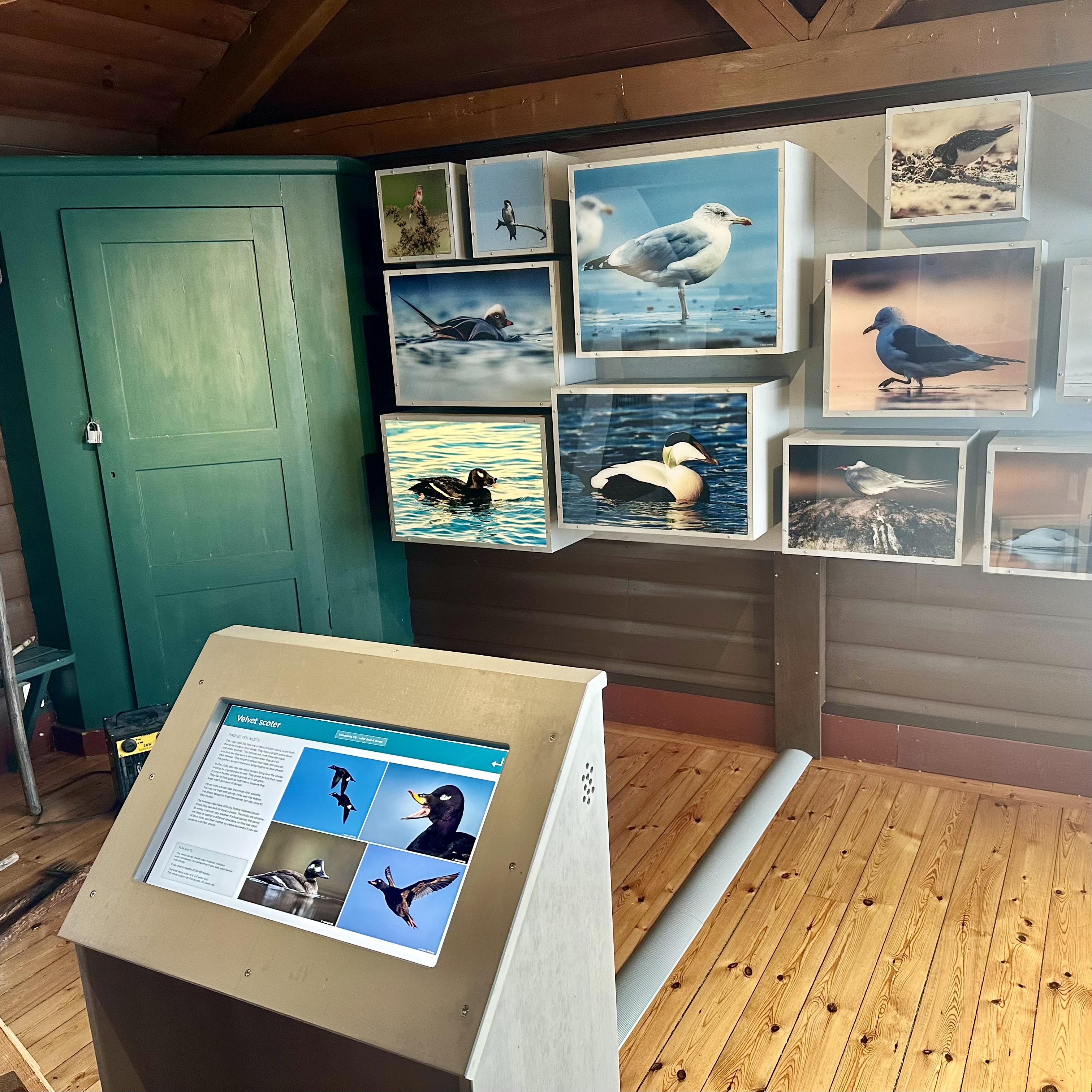 Bullerö naturreservat får nytt fågelspel och informationskiosk - 4