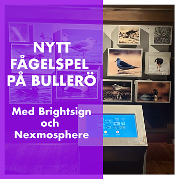Bullerö naturreservat får nytt fågelspel och informationskiosk