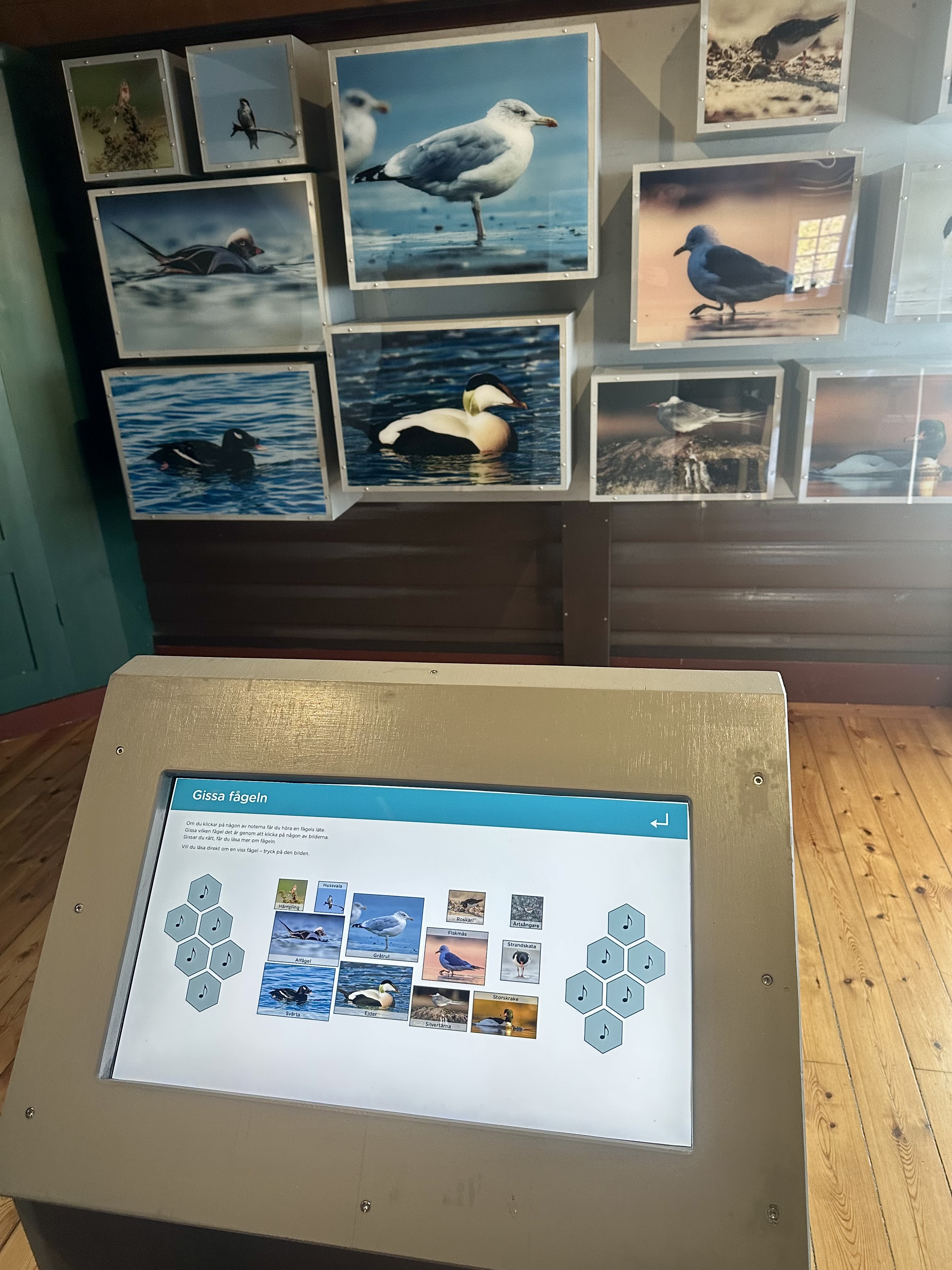 Bullerö naturreservat får nytt fågelspel och informationskiosk - 3