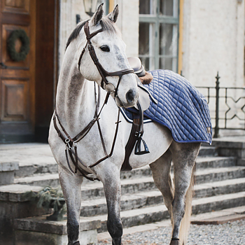 LIPPO RIDING RUG
