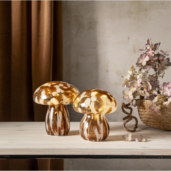 Paristokoriste Funghi Ruskea 17cm Star Trading Paristokoriste Funghi Ruskea 17cm Star Trading - 3