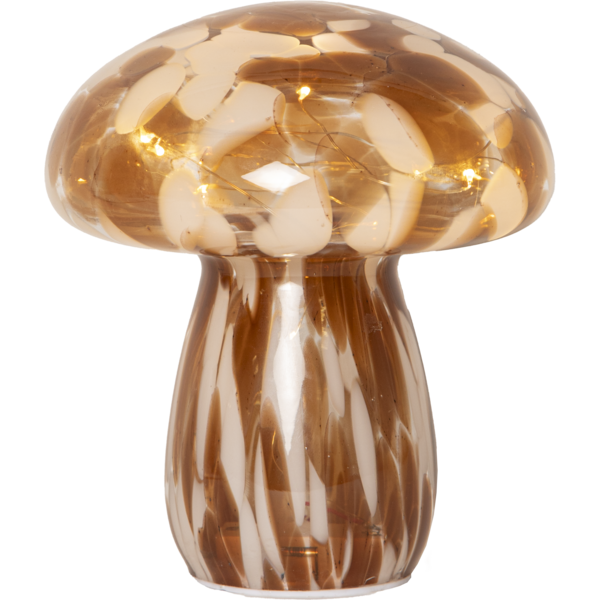 Paristokoriste Funghi Ruskea 17cm Star Trading Paristokoriste Funghi Ruskea 17cm Star Trading - 4