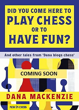 Did You Come Here To Play Chess Or To Have Fun?