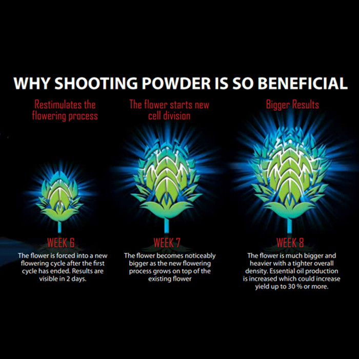 House & Garden Shooting Powder - 2