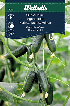 Gurka Hopeline F1 Weibulls