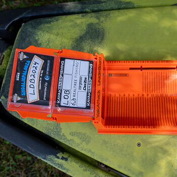 Metric LeaderBoard - 71 cm Measuring Board with Built-In Identifier Holders and Cull Tabs, Orange