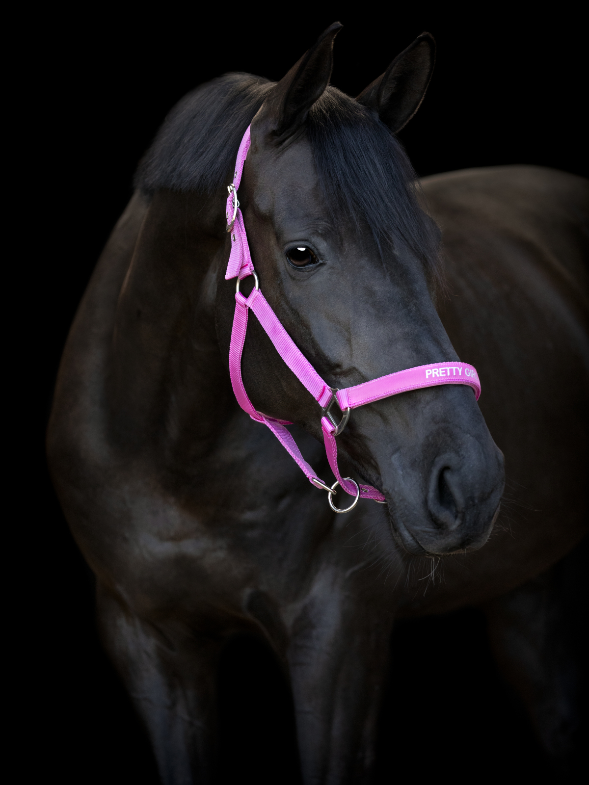 Grimma Malva -  Rosa "Pretty Girl"