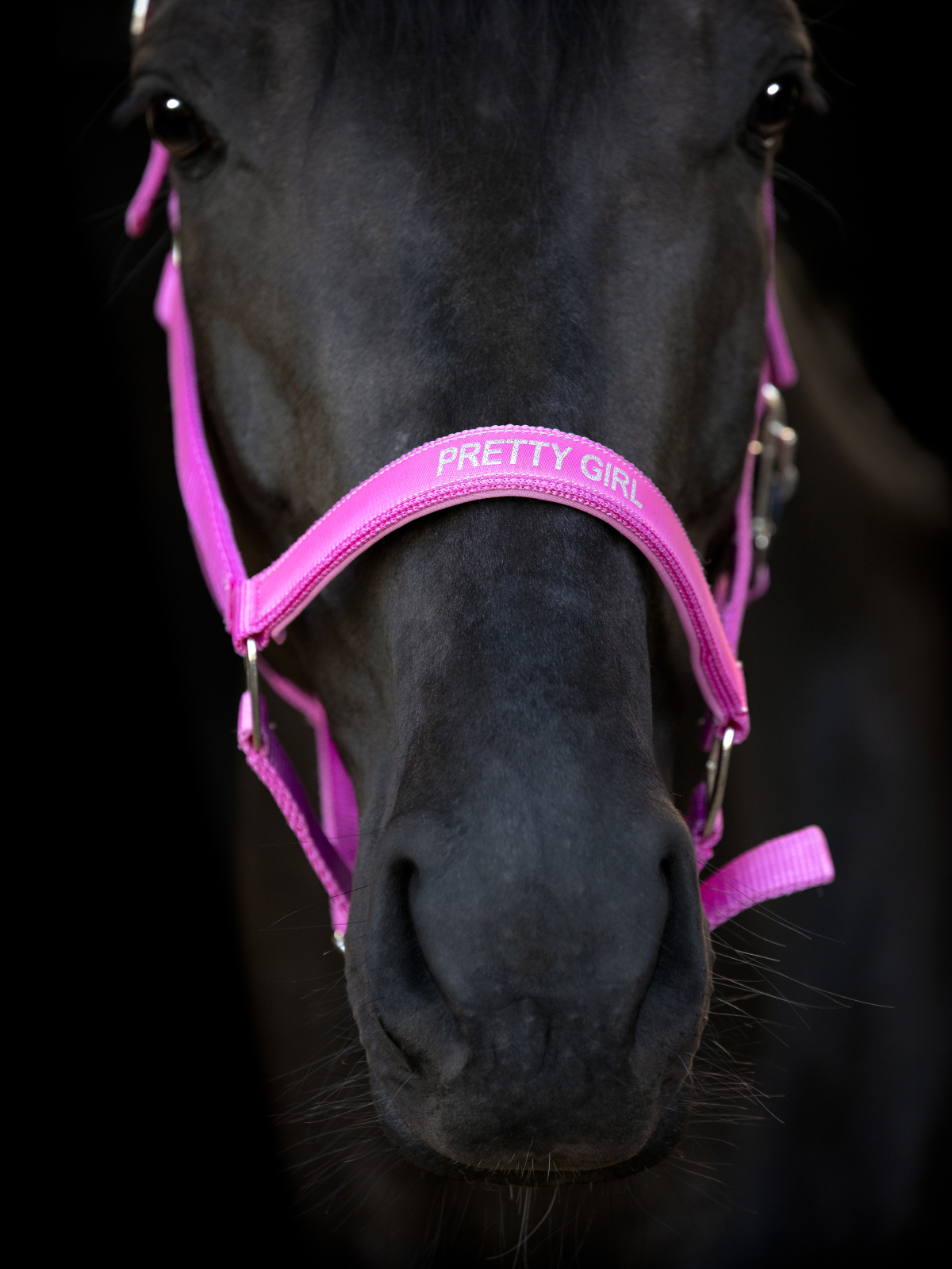 Grimma Malva -  Rosa "Pretty Girl"