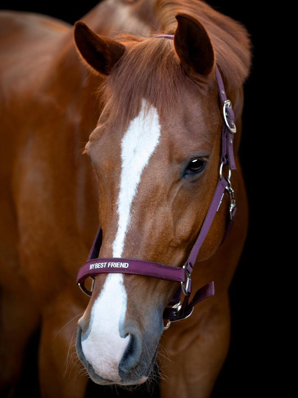 Grimma Malva - "My bestfriend"