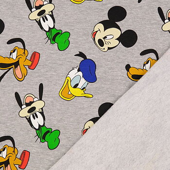 MICKEY MOUSE & FIRENDS COLLEGE