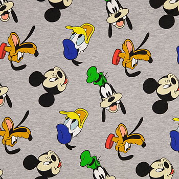 MICKEY MOUSE & FIRENDS COLLEGE
