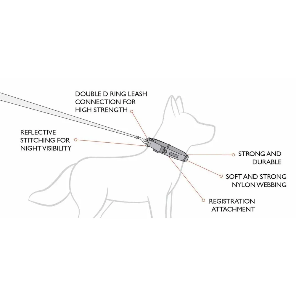 Ezydog Halsband Dubbel Up Svart - 3