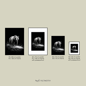 Från skogens skugga Poster