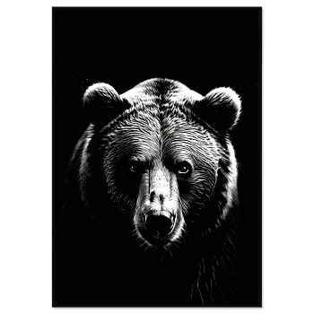 Björnens blick Poster