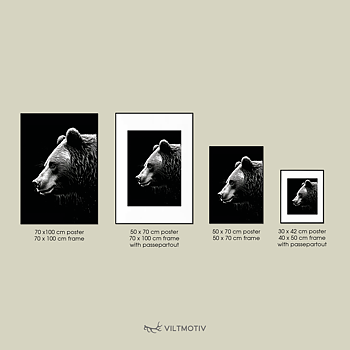 Björn i profil Poster