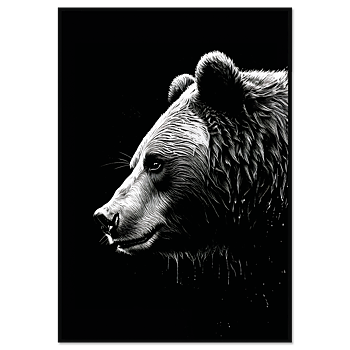 Björn i profil Poster