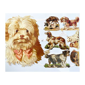 Bookmarks Second Hand - Dogs Vintage EF7070