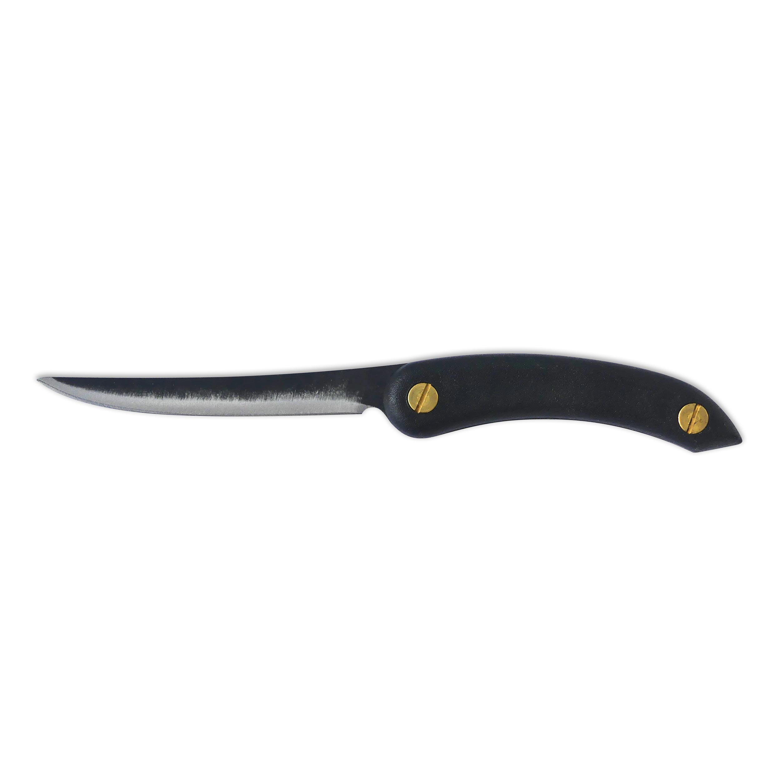 Kiwi Filé