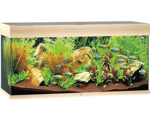 Juwel Rio 180 Akvarium LxBxH: 101x41x50cm 180 liter - 3