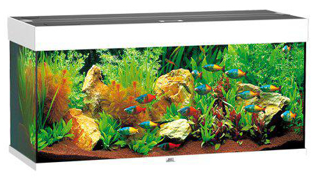 Juwel Rio 180 Akvarium LxBxH: 101x41x50cm 180 liter - 2
