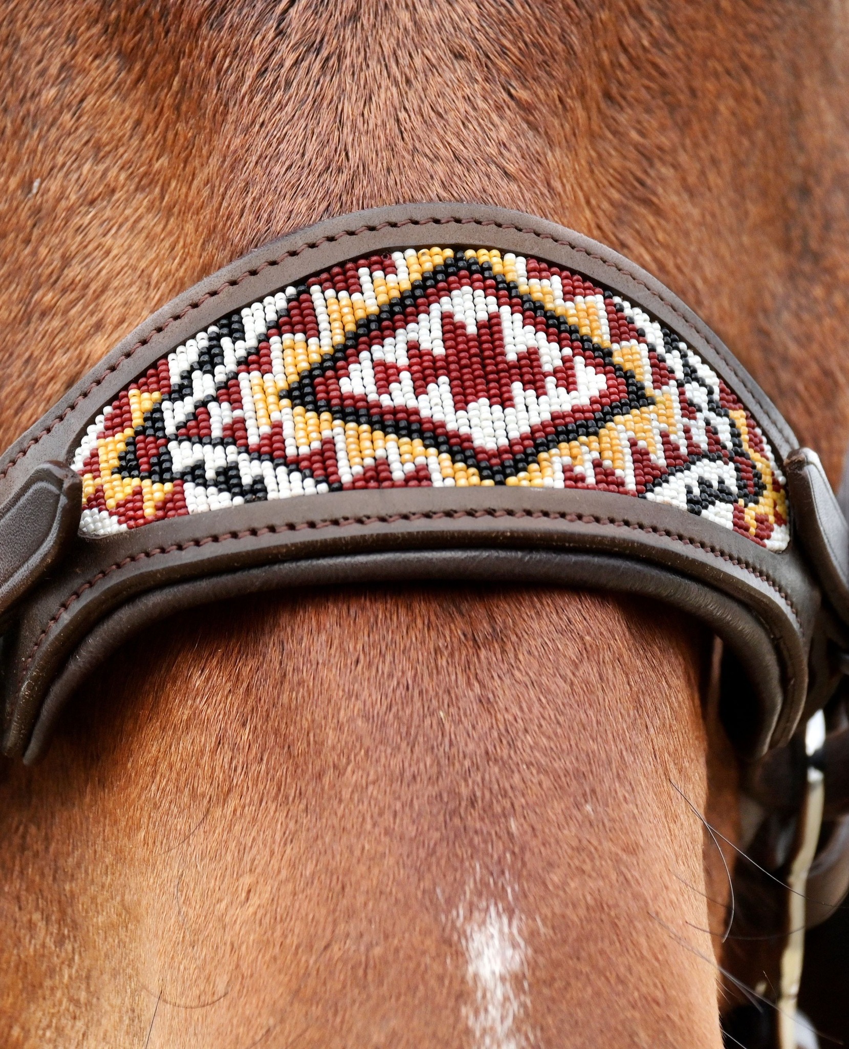 Bridle Anatomical, Edix© Brightstar, brown - 8