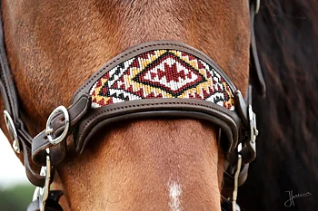  Edix© ED4 Brightstar Hackamoreträns Anatomical Brown Aztec