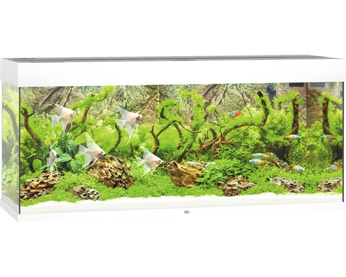 Juwel Rio 240 Akvarium LxBxH: 121x41x55cm 240 liter - 2