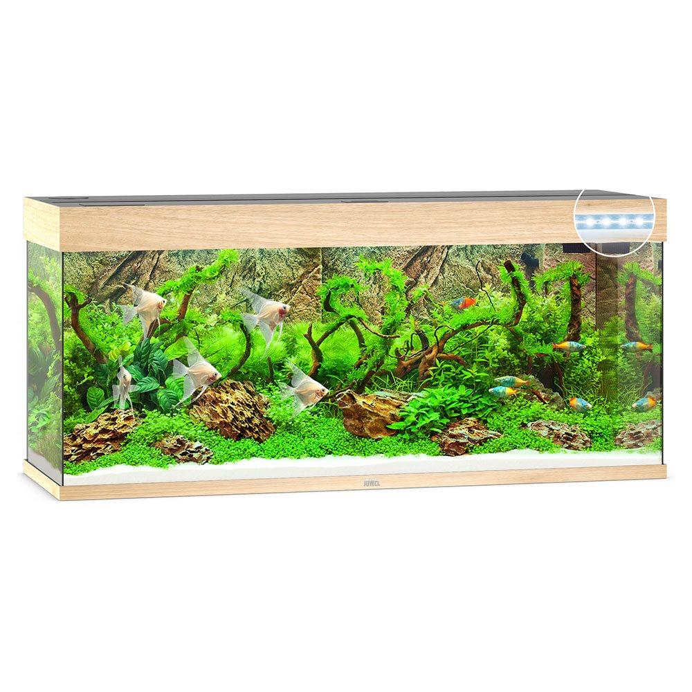 Juwel Rio 240 Akvarium LxBxH: 121x41x55cm 240 liter - 3