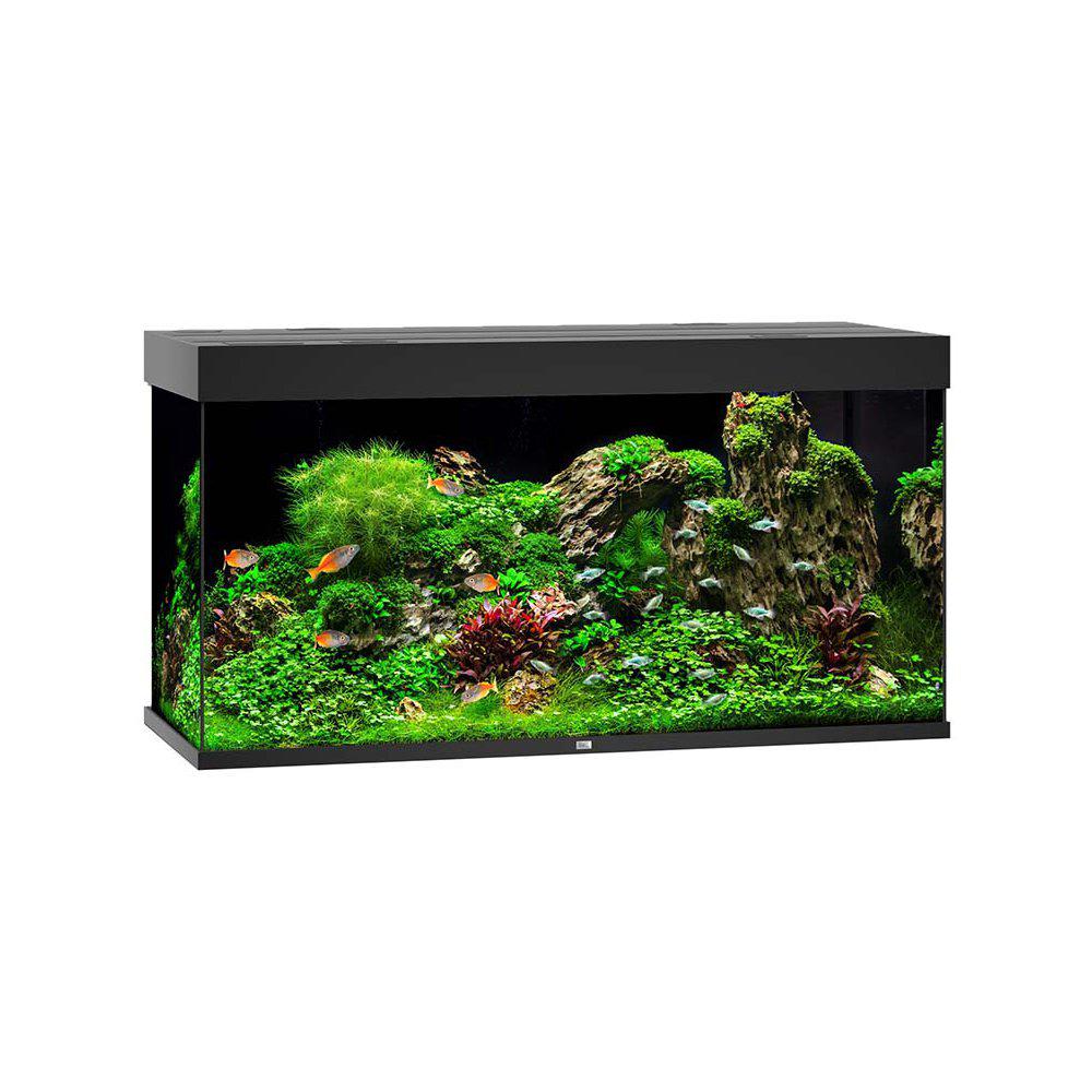 Juwel Rio 350 Akvarium LxBxH: 121x51x66cm 350 liter - 3