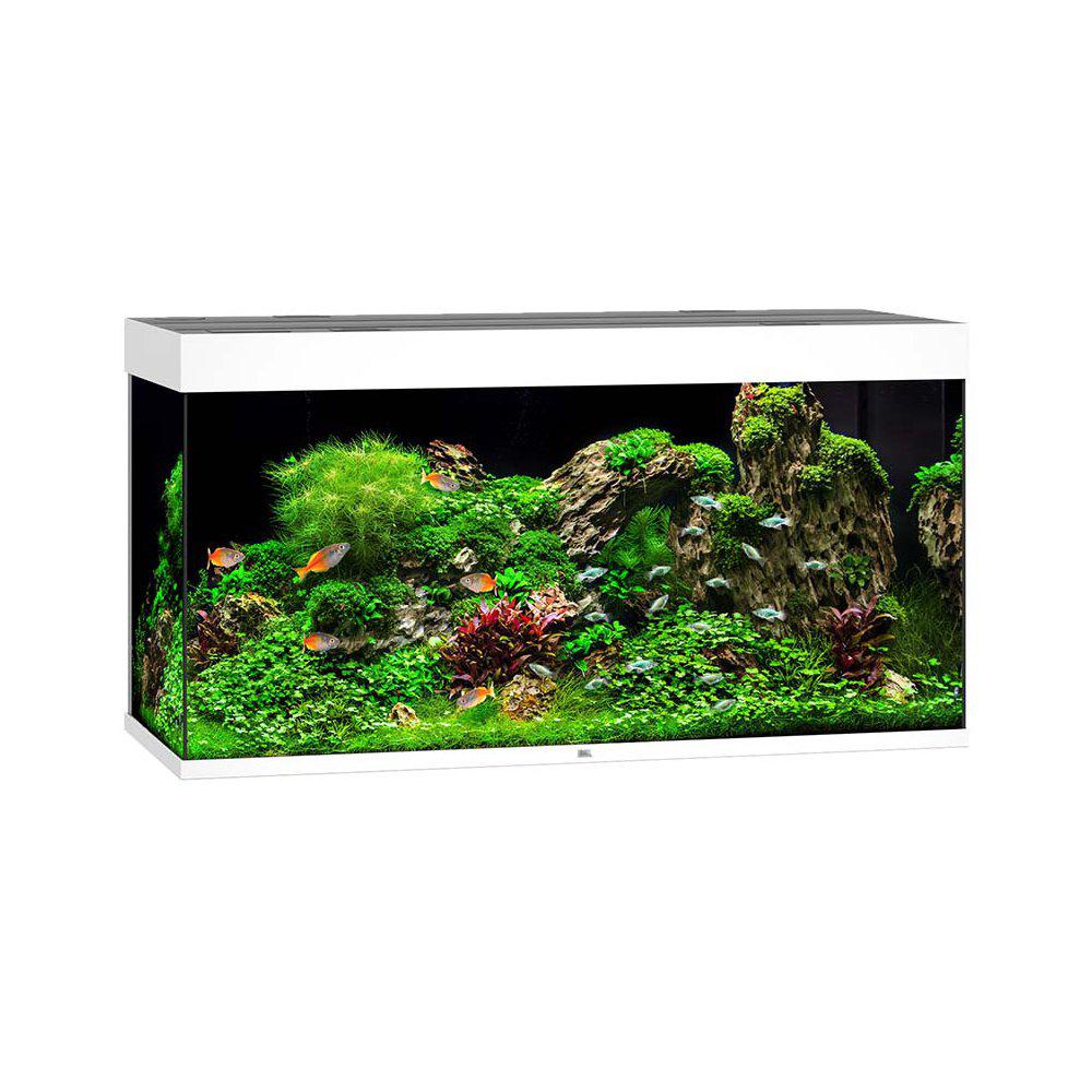 Juwel Rio 350 Akvarium LxBxH: 121x51x66cm 350 liter - 4