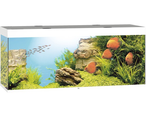 Juwel Rio 450 Akvarium LxBxH: 151x51x66cm 450 liter - 4
