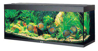 Juwel Rio 450 Akvarium LxBxH: 151x51x66cm 450 liter - 3