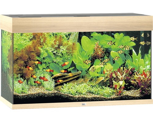 Juwel Rio 125 Akvarium LxBxH: 81x36x50cm 125 liter - 3
