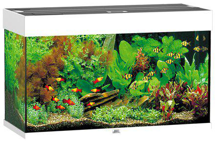 Juwel Rio 125 Akvarium LxBxH: 81x36x50cm 125 liter - 2