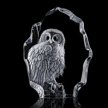 Mats Jonasson Wildlife Tawny Owl
