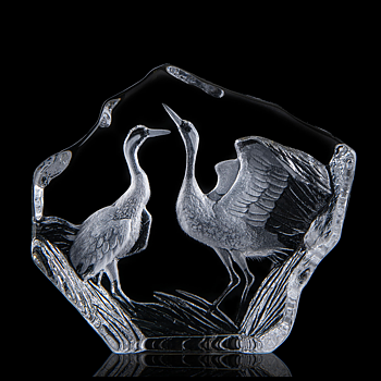 Mats Jonasson Wildlife Cranes