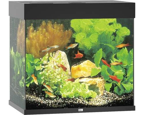 Juwel Lido 120 Akvarium LxBxH: 61x41x58cm 120 liter - 4