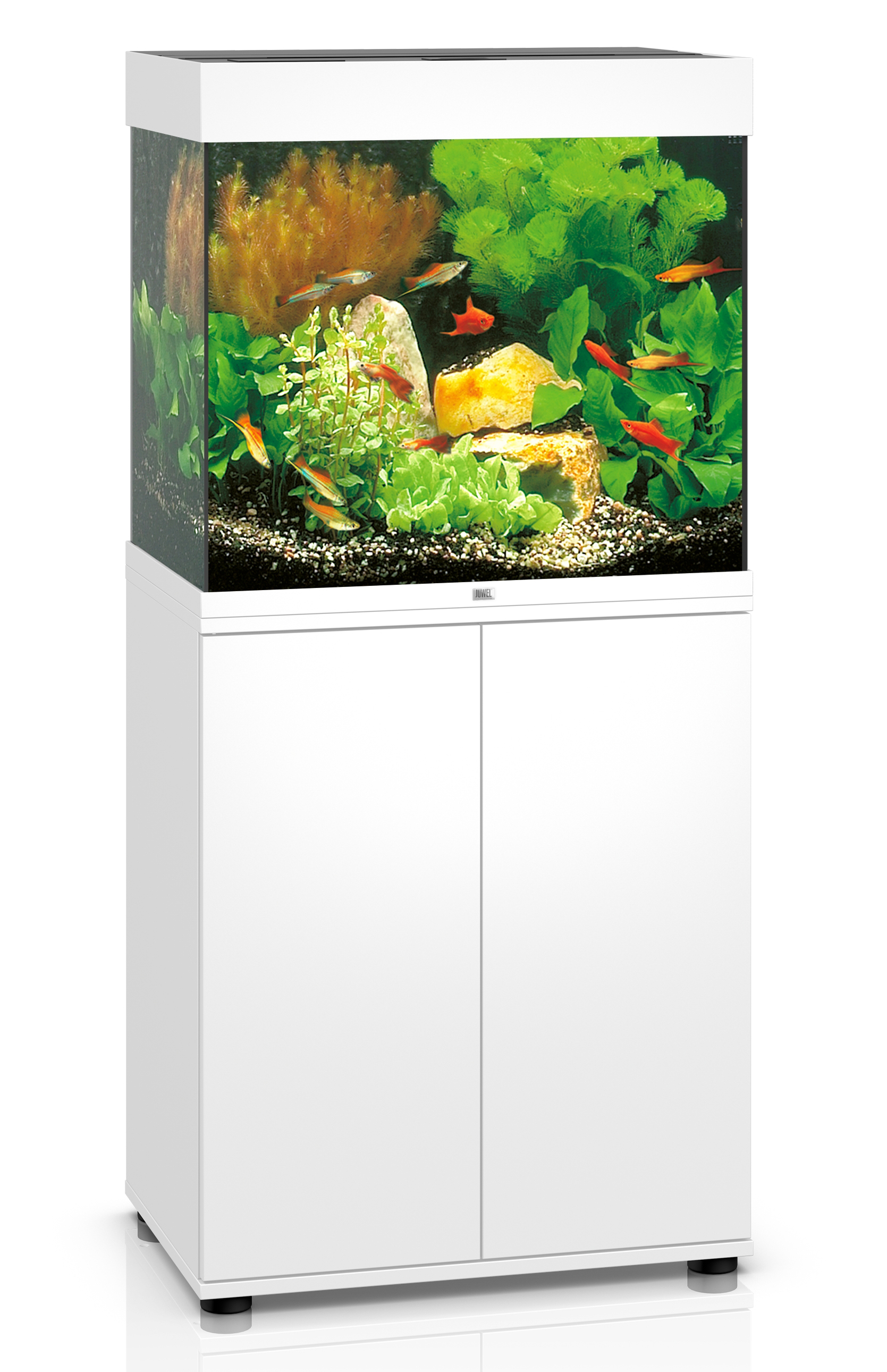 Juwel Lido 120 Paket LxBxH: 61x41x131 cm - 3