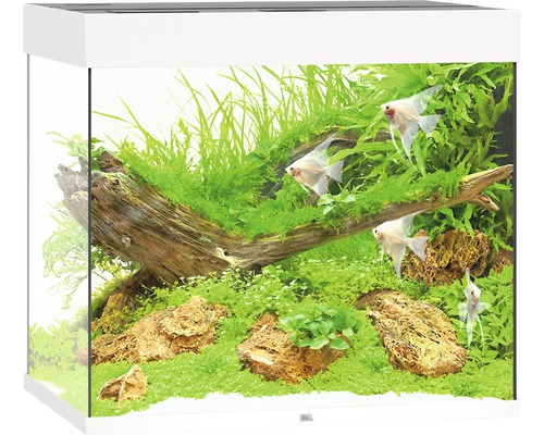 Juwel Lido 200 Akvarium LxBxH: 71x51x65cm 200 liter - 2